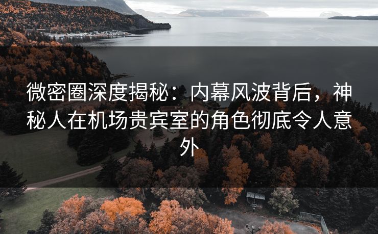 微密圈深度揭秘：内幕风波背后，神秘人在机场贵宾室的角色彻底令人意外