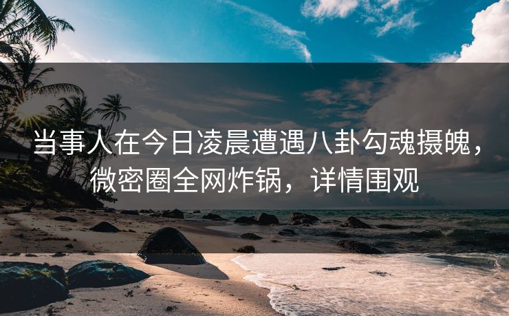 当事人在今日凌晨遭遇八卦勾魂摄魄,微密圈全网炸锅,详情围观 当事人在今日凌晨遭遇八卦勾魂摄魄,微密圈全网炸锅,详情围观