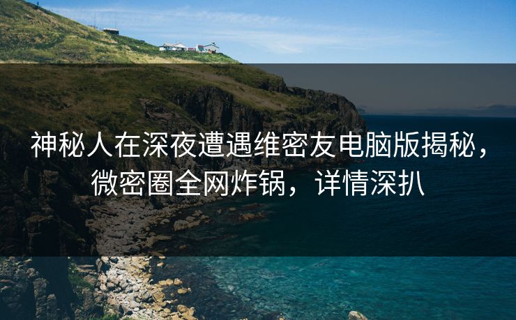 神秘人在深夜遭遇维密友电脑版揭秘,微密圈全网炸锅,详情深扒 神秘人在深夜遭遇维密友电脑版揭秘,微密圈全网炸锅,详情深扒
