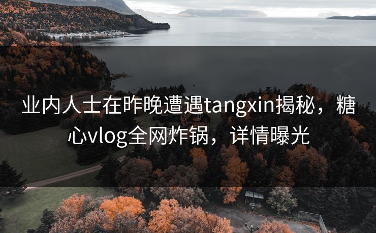 业内人士在昨晚遭遇tangxin揭秘,糖心vlog全网炸锅,详情曝光 业内人士在昨晚遭遇tangxin揭秘,糖心vlog全网炸锅,详情曝光