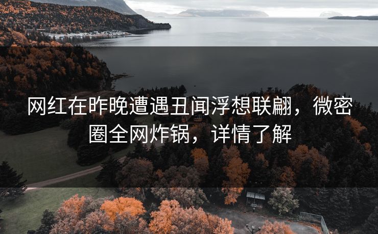 网红在昨晚遭遇丑闻浮想联翩,微密圈全网炸锅,详情了解 网红在昨晚遭遇丑闻浮想联翩,微密圈全网炸锅,详情了解